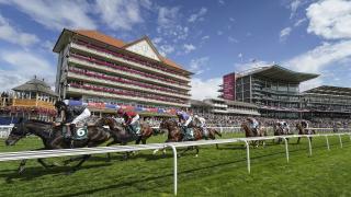 Horses running
